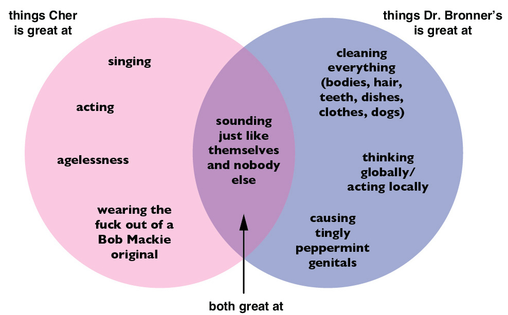 Dr. Bronner and Cher chart Dr. Bronner and Cher chart